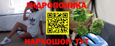 гашик Бузулук