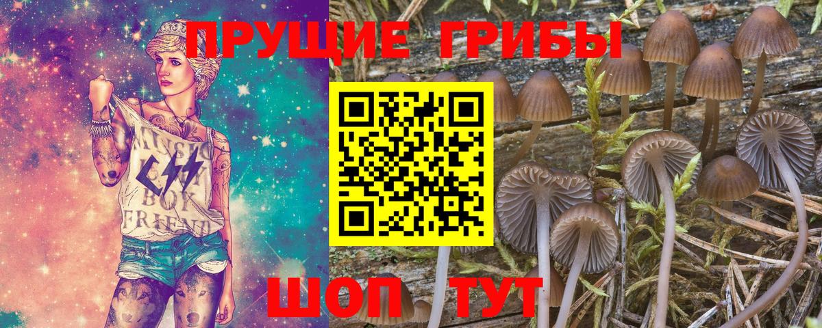 Псилоцибиновые грибы мухоморы  Вход с VPN  Псилоцибиновые грибы мухоморы  Чебаркуль 